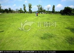 青青青草国产免费