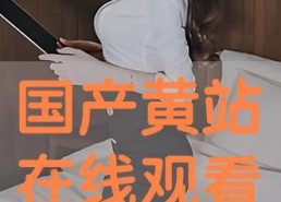 国产在线播放观看,在线播放，畅享视听盛宴