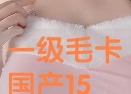 国产一级毛卡片不收费