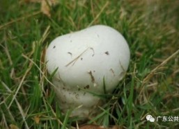 太粗太深了太紧太爽了国产,太粗太深太紧太爽，揭秘国产新高度