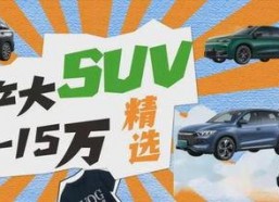 精选国产,精选国产生态的崛起与未来展望