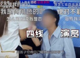 国产网友在线,国产科技崛起背后的故事